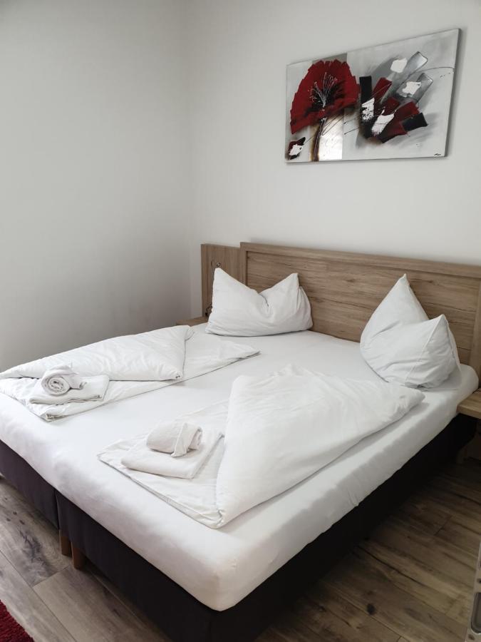 Cityapartment Monika 斯拉德明 外观 照片